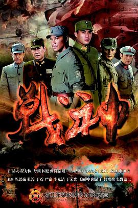 国产日韩亚洲精品不卡海报剧照