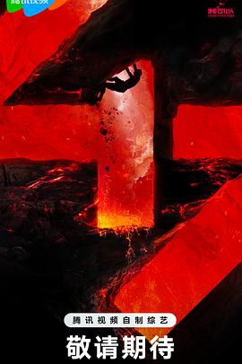 片珍爱网海报剧照